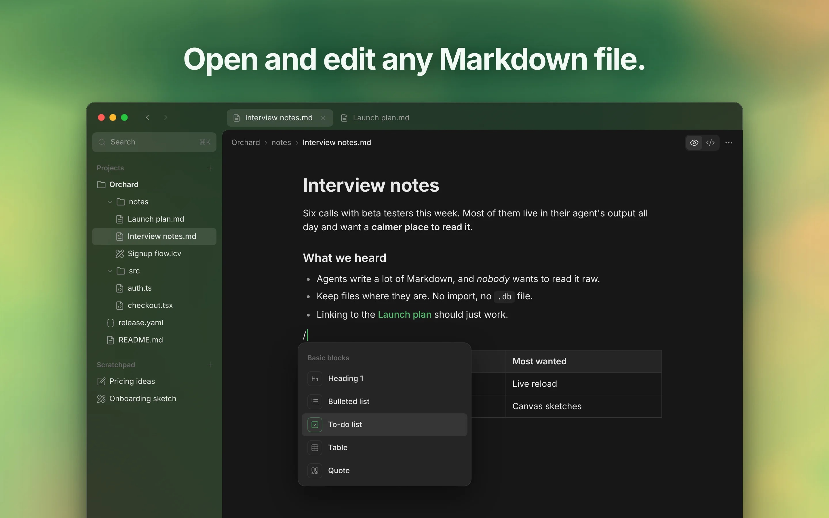 LocalEditor screenshot 2