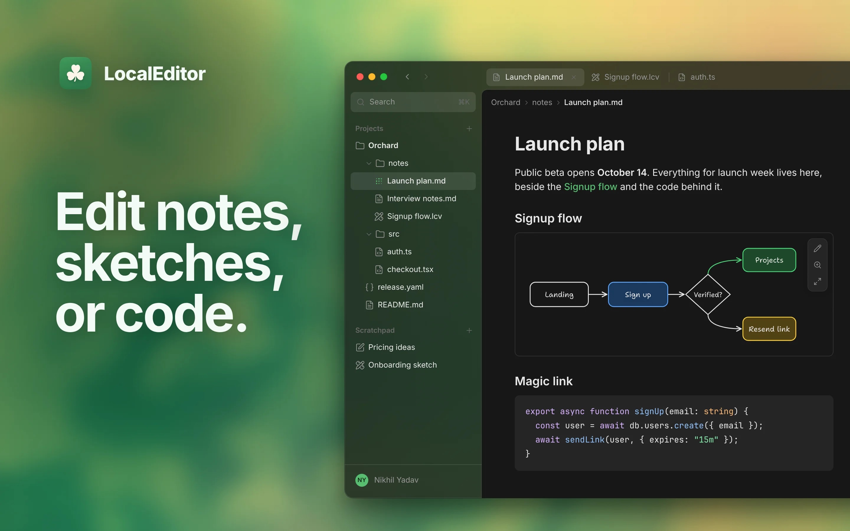 LocalEditor screenshot 1