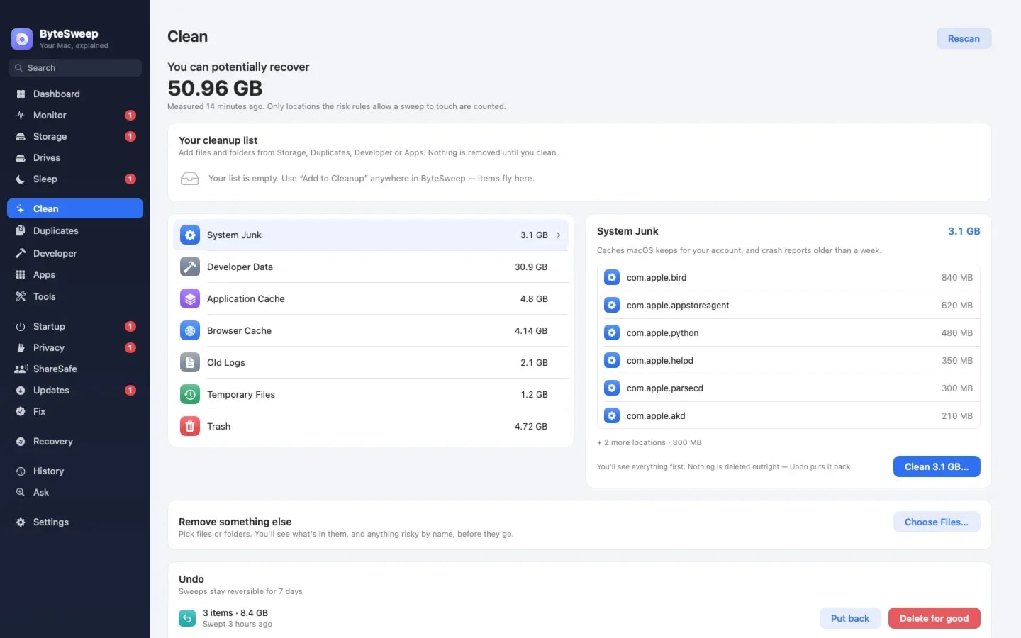 ByteSweep screenshot 2